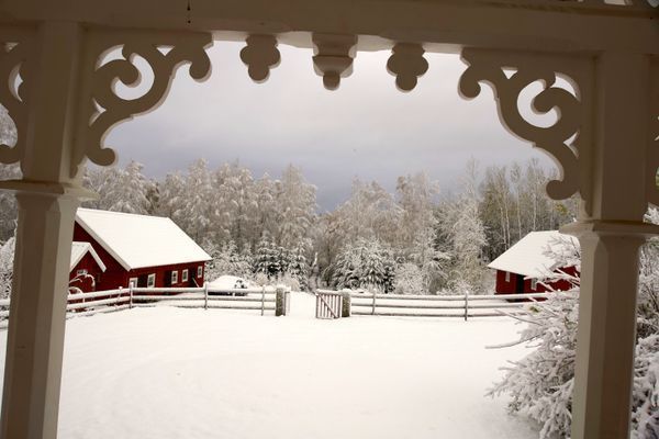 Utsikt från verandan vintertid