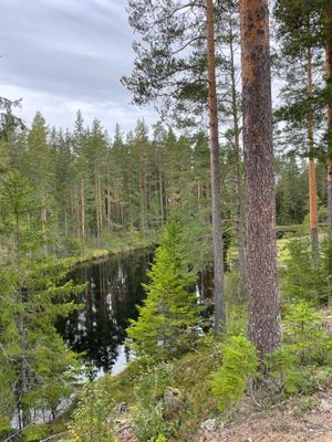Mysig stuga i byn Löa i Bergslagen - Bild 44