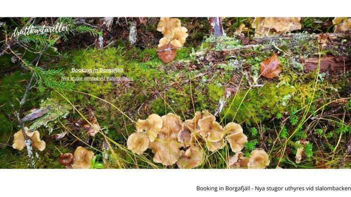 Booking in Borgafjäll - Stugor uthyres vid backen - Bild 51