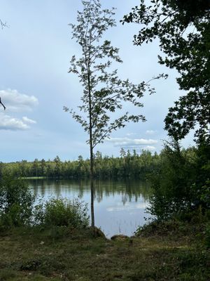 Äldre charmigt hus perfekt för den stora familjen