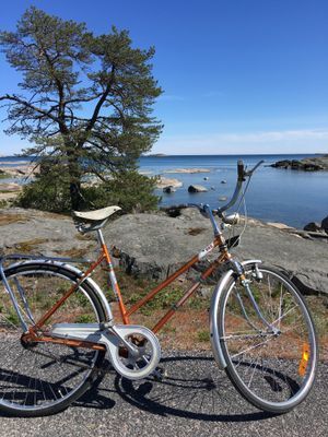 Cykla på Stora Askö! Några cyklar av varierande kvalité finns att låna. Annars hyr i Loftahammar.