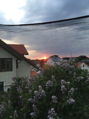 Göteborgs norra skärgård med spabad! - Bild 2