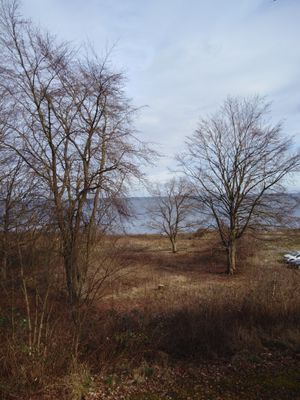 Baskemölla österlen - Bild 7