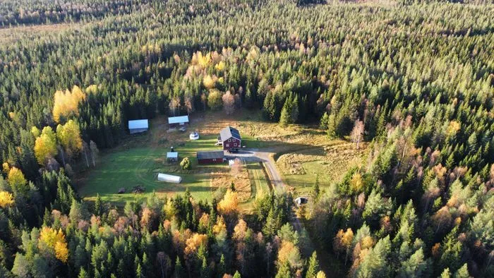 Stuga i Rentjärn Västerbotten