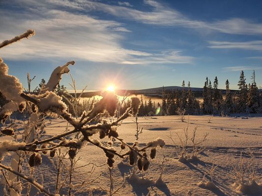 Liten stuga uthyres i Edsåsdalen, Åre - Bild 3
