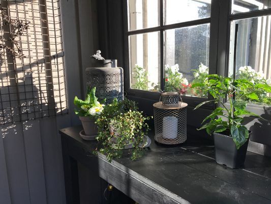 6 bäddar, 300m från hav,5km från Visby - Bild 7