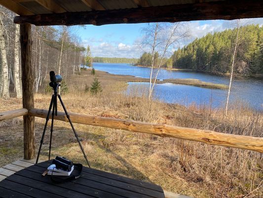 Bästa sjöläge! vedeldad bastu, kanot och fiskebåt - Bild 34