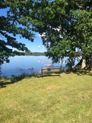 Röd liten stuga vid sjön - Bild 23