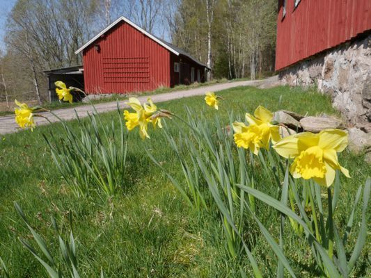 Torp nära havet på Orust, Bohuslän - Bild 7