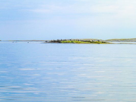 Torp nära havet på Orust, Bohuslän - Bild 32