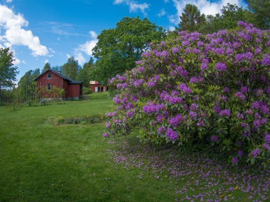Torp nära havet på Orust, Bohuslän - Bild 5