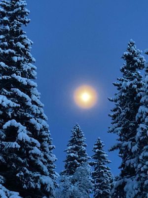 Bränna Frostviken - Bild 29